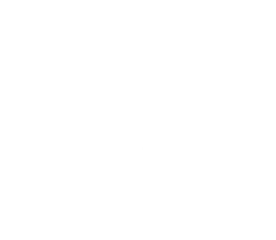 Leonard A. Rich Consulting